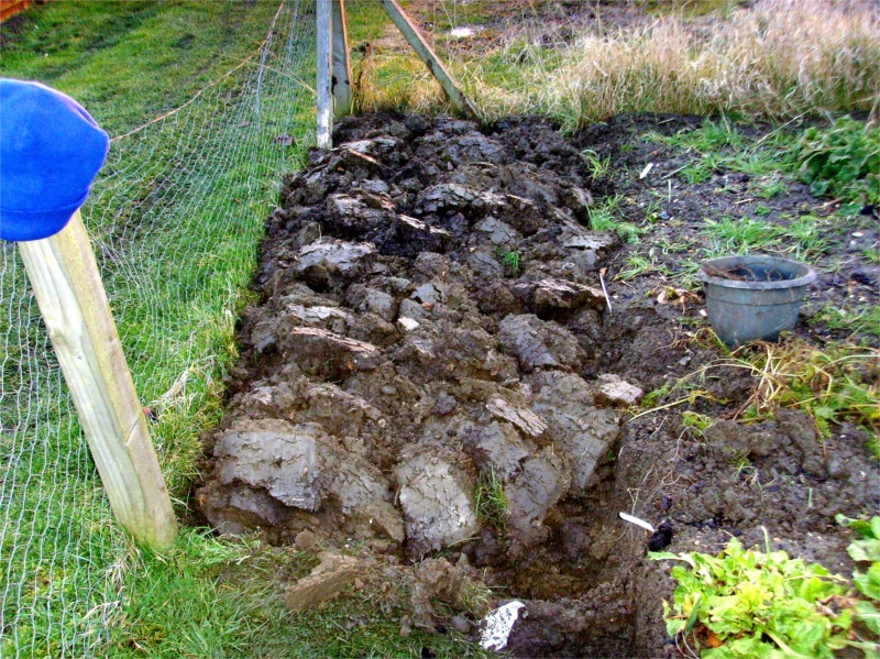Allotment Heaven How to make a rat proof chicken feeder